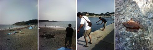 三浦半島で懇親会01