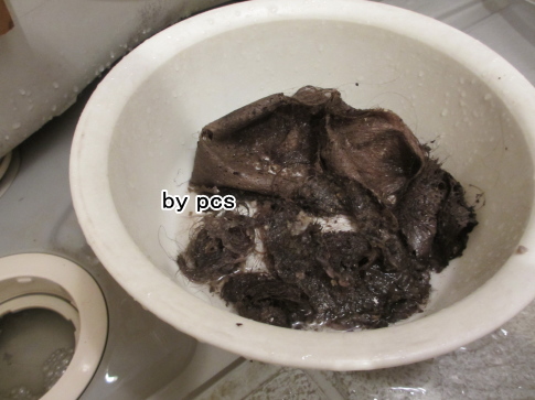 排水口の汚れ写真03