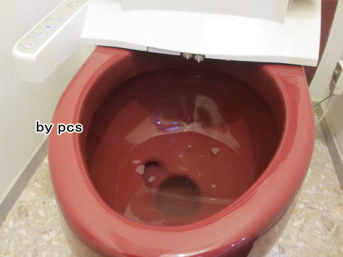 きれいになったトイレカラー便器の写真01