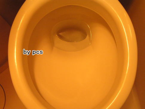 尿石が取れた便器の写真05