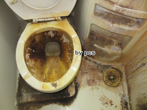 トイレ便器の重度の尿石汚れの写真01