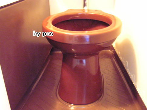 きれいになったトイレカラー便器の写真02